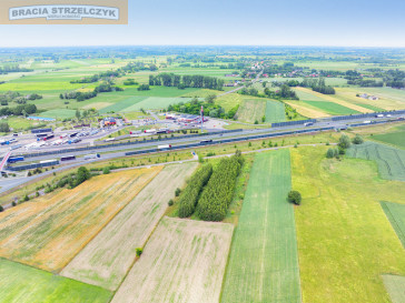 Działka Sprzedaż Holendry Baranowskie